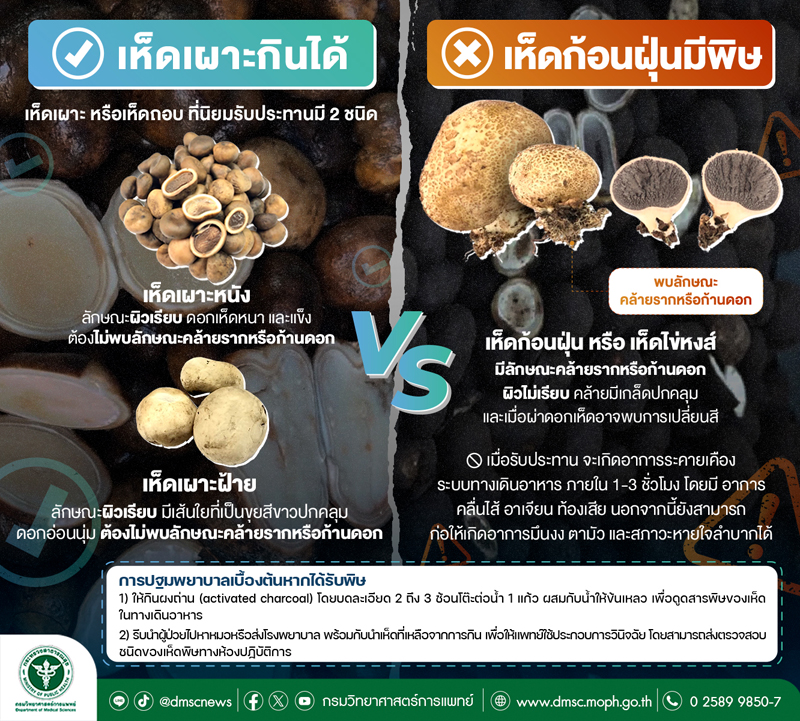 เห็ดเผาะ