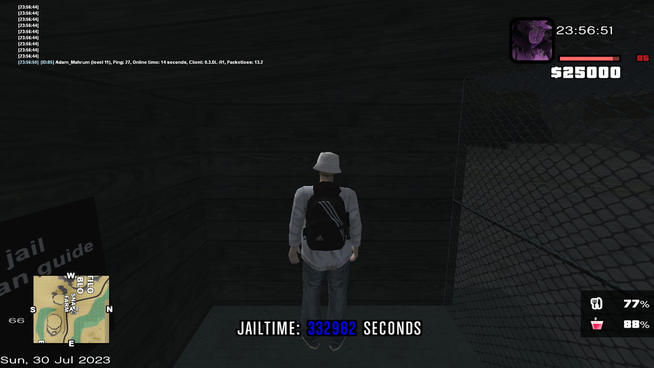 samp-30-07-2023-23-56-51.png