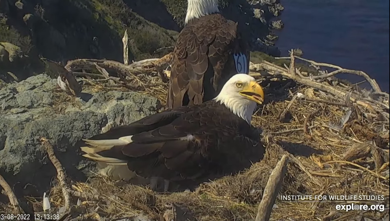 F6FD2550-0454-4A70-8CC7-7A37AC9DF4C6