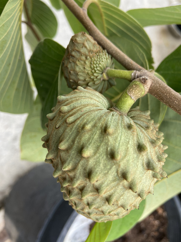 DEC455DE-F2FF-4F63-B27F-DC8162FE1782