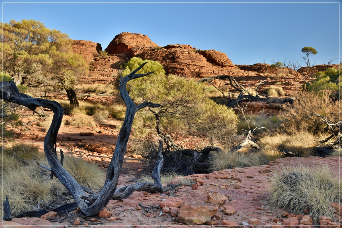 Red Center - Australia (I): toma de contacto (38)
