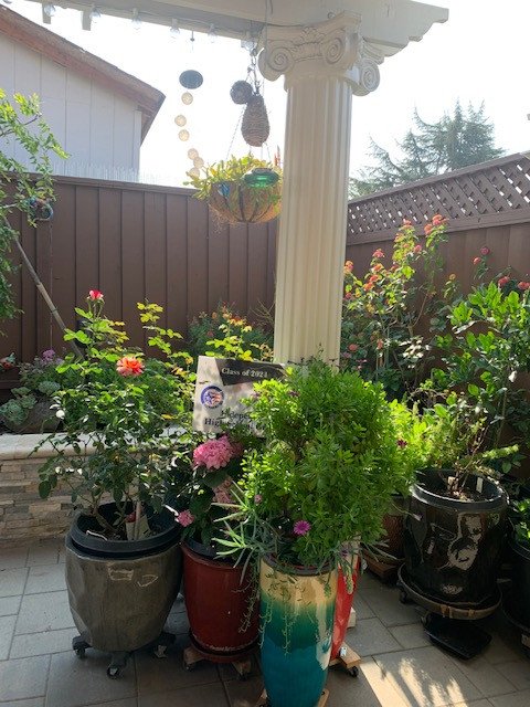 [Image: IMG-2250.jpg]
