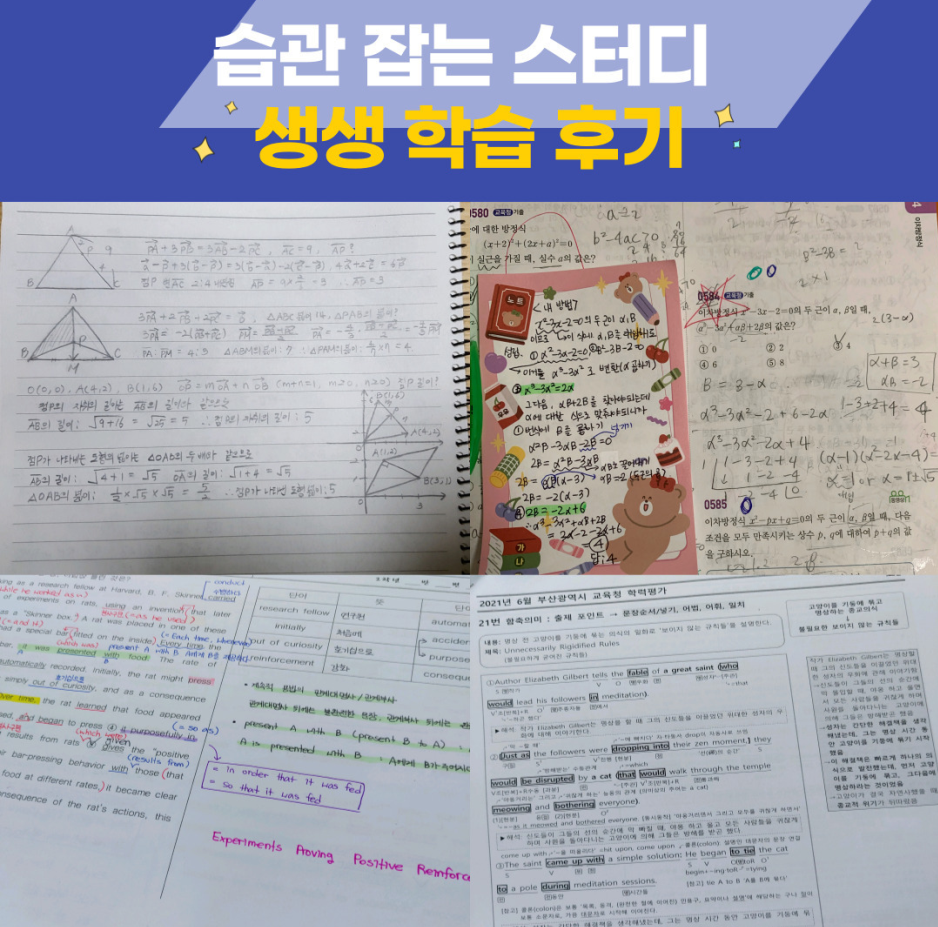 심곡본동 영어과외 수학과외 14