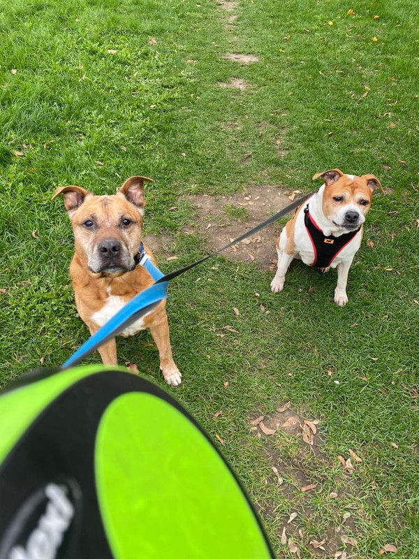 439B9991-80AF-41F1-B4B8-771266B04FA4