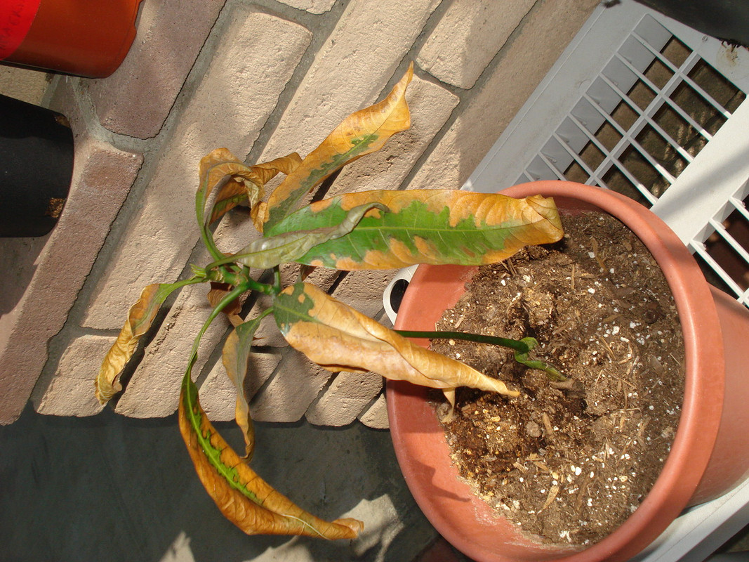 DSC01673