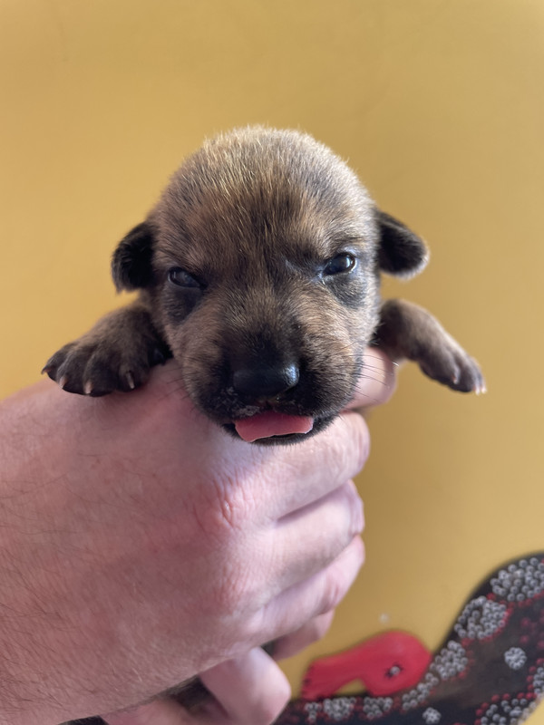 9A218692-E22D-4710-8B81-38C95D56F1F1