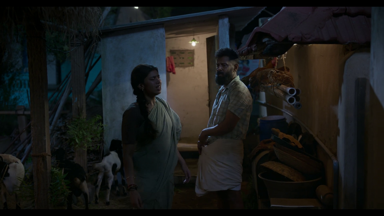 vlcsnap-2025-04-24-21h07m09s560