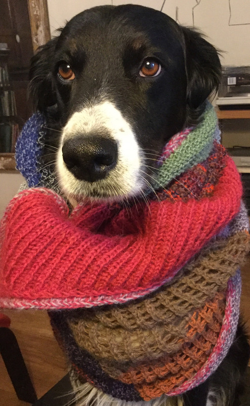 D28C8B66-A113-4F8E-8783-B452D0BA47B3