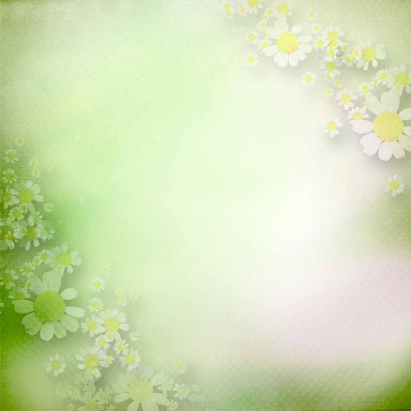 Mariposa_Kit_6