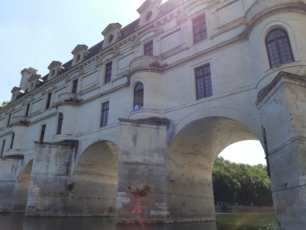 11.20 - 20180806_151030 (PiTT)