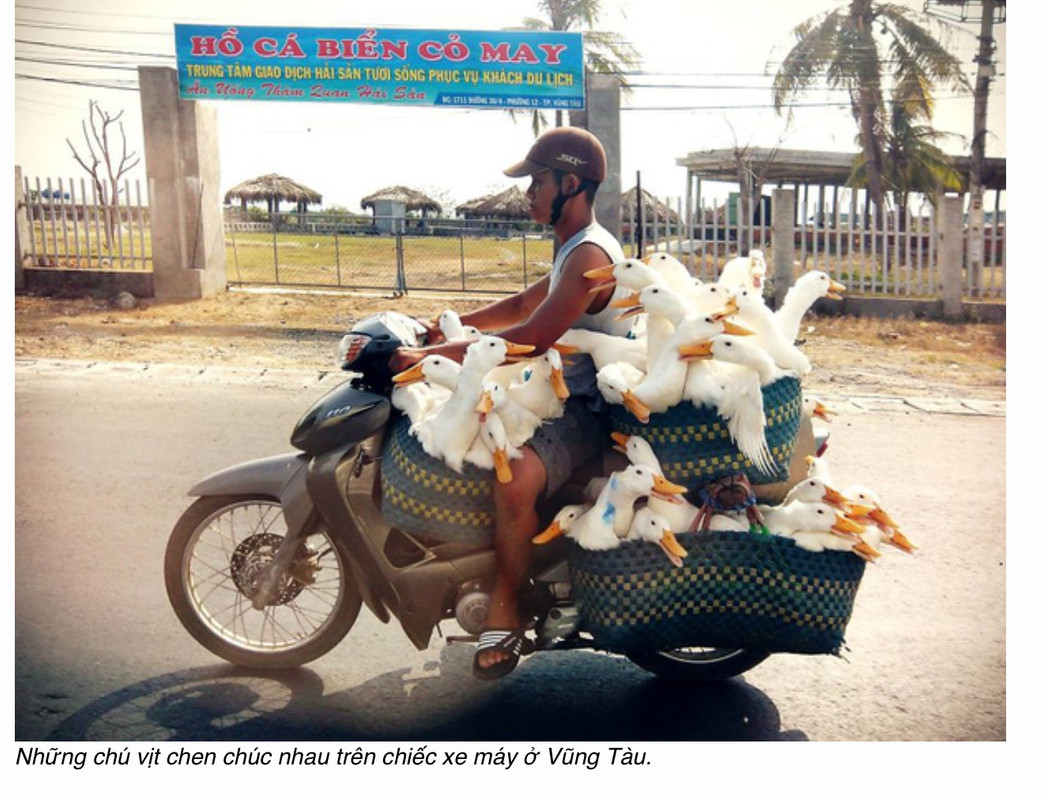 C331271F-696A-4AE8-B81D-90BDAF217EE3