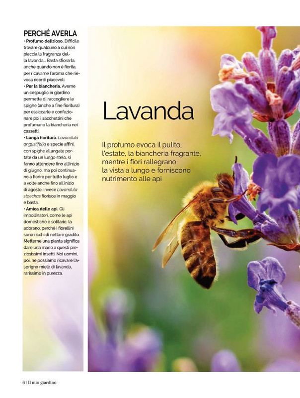 Il Mio Giar Ago-Set 2022 (1)