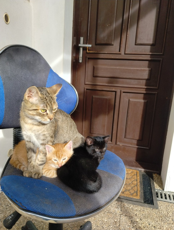 IMG_20251013_145601293