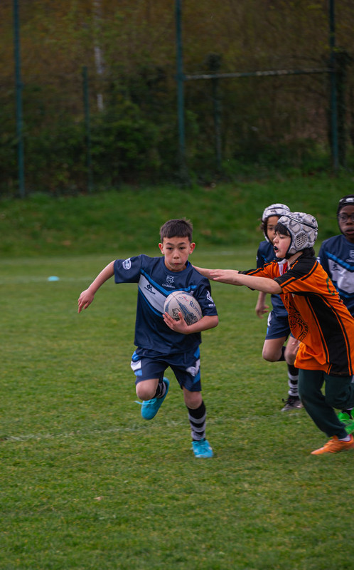 tournoi-de-latlantique-2026-adonis-griffon-127-55180399667-l