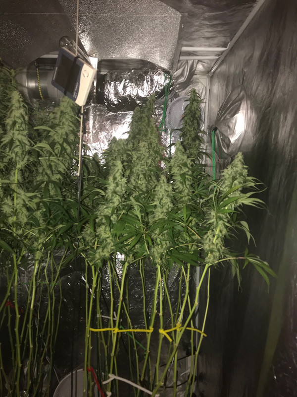 1B48B186-280A-40BA-A0C1-3D3EA8623BE4