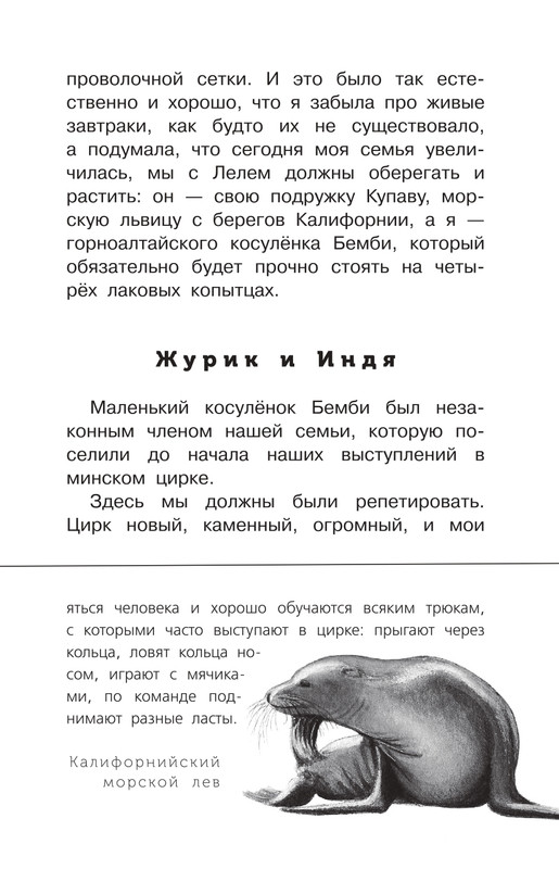 Durova-Natalija-Moj-dom-na-kolosah-page-0021