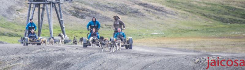 Noveno y décimo día. Longyearbyen-Navegación. - Minidiario de Bitácora VII .Expedición al Círculo Polar Ártico. Julio 2018 (8)