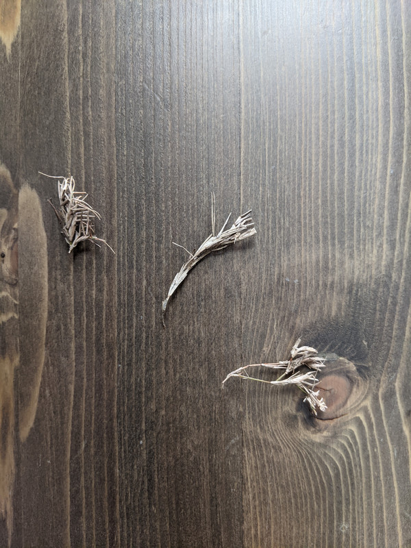 PXL_20200811_181303071.MP