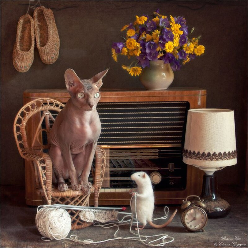 11755790-586138704822930-221848552031069943-n