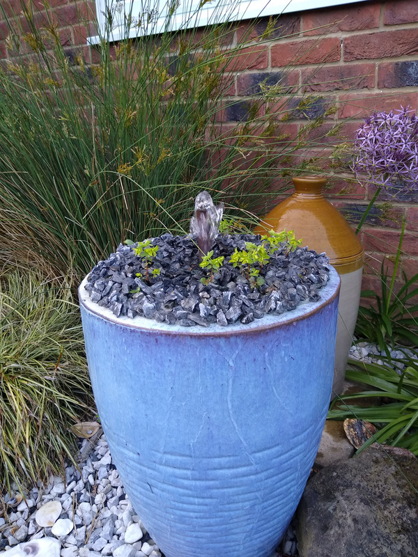 IMG_20240601_191726586