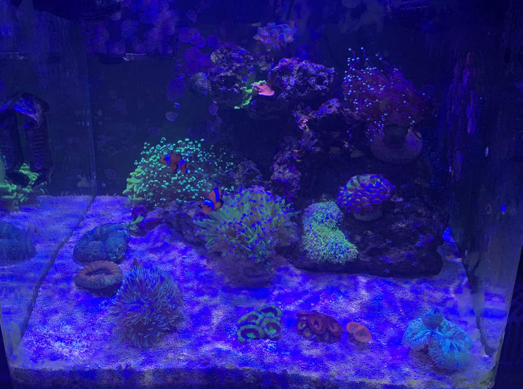 930C4CB7-9243-4154-809F-E2B7C13EAFC6