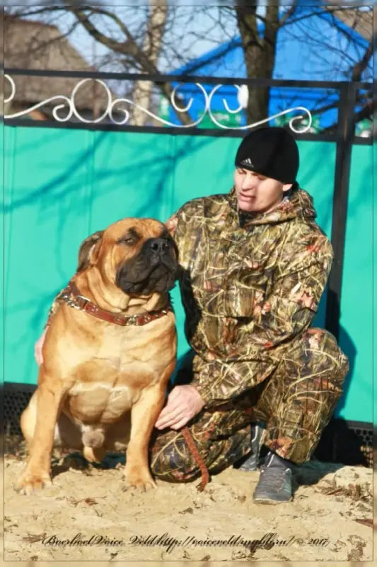 UDfhAy3XkPQXQd4yjeqtxyUQ3HwufSIP2jDkBNWs0vsyPOuxxzLRVaaF09OEfOoO19AutMToi0ov06ZMwsnjN5Ko-1