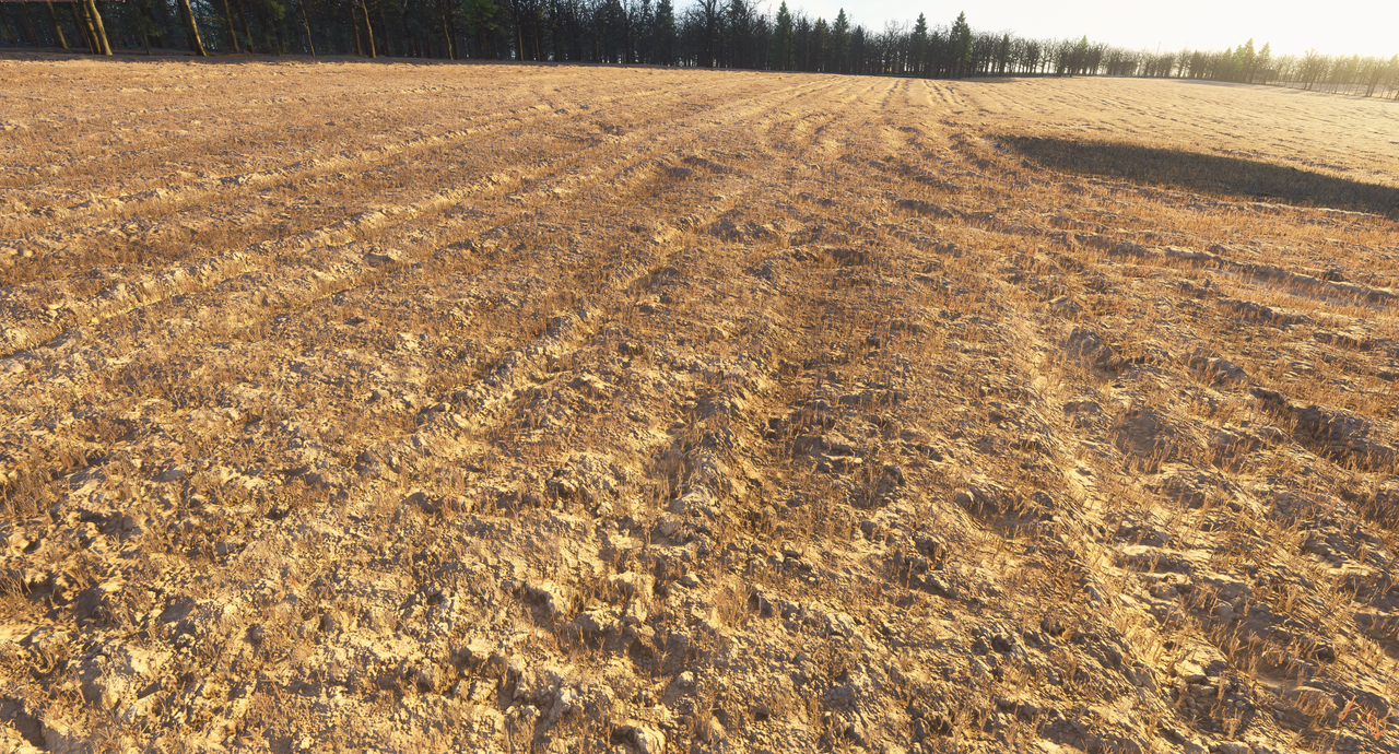 Field2.png