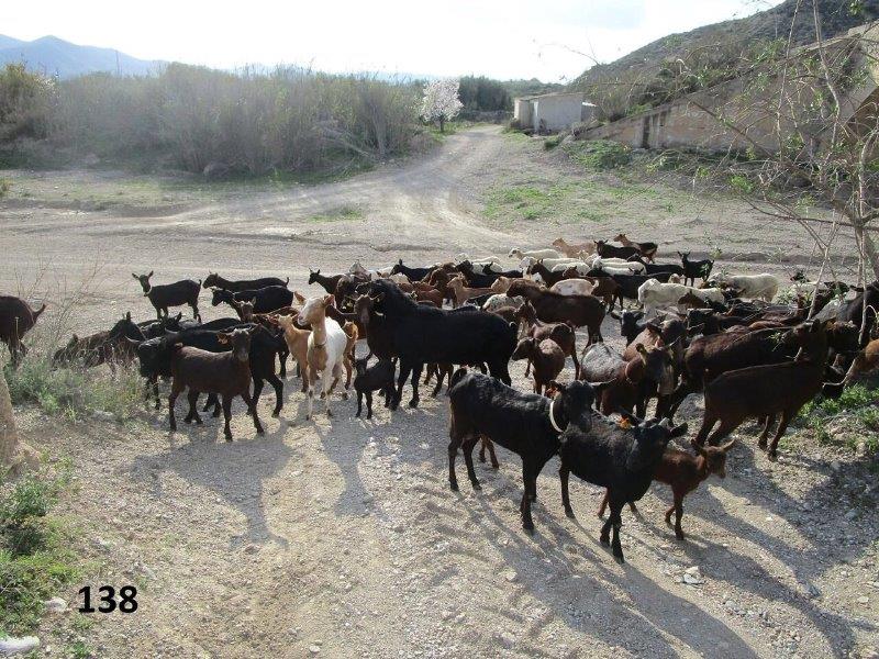 138 jbk16836158_10208210427758234_8790760298074792922_o (2)