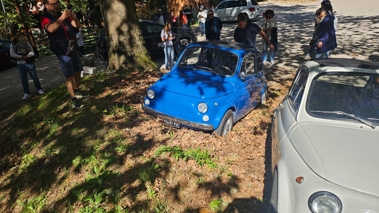 5a91a7e2-133b-4c35-af5e-b06831f74035