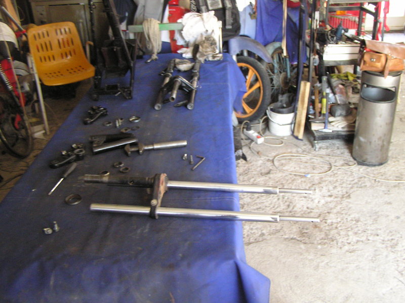 Picturevela luka 541