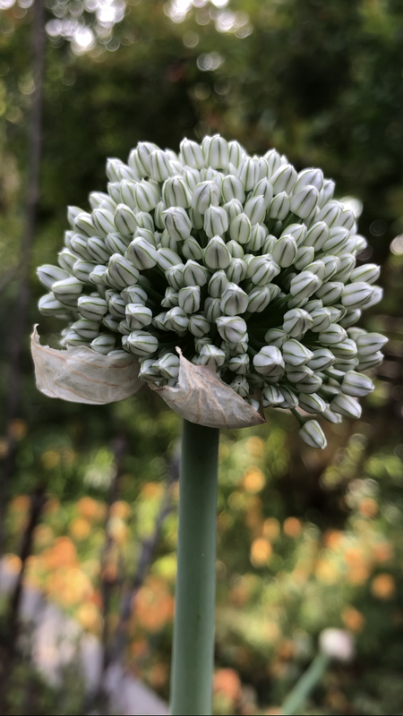 ABB3617B-D94F-4EE4-8D3E-6E2E7D86E3A0