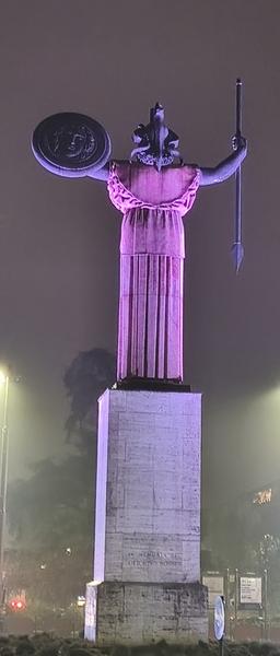 Milán-Turín-Génova-Pavía - Blogs de Italia - Pavía: la famosa batalla y sus torres medievales (5)