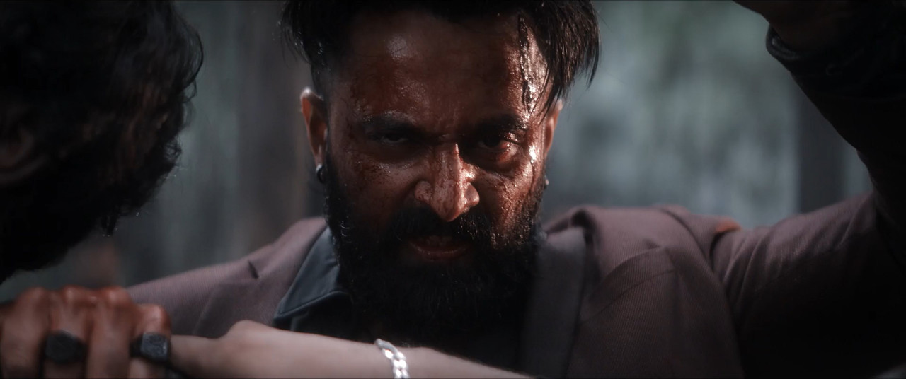 Marco 2024 WebRip [Hindi + Tamil + Telugu + Malayalam + Kannada] 480p, 720p, 1080p ESub Screenshot