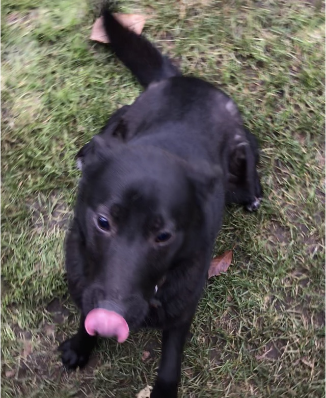 AF1A9EAC-A923-4A94-8B70-7A6CF8FD385E