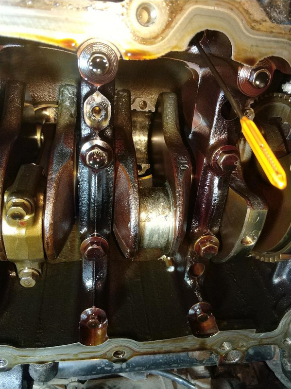 IMG_20171212_100255 (Large)