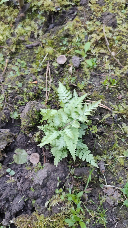 IMG_2023_06_15_20_37_36_2251029697736879603392