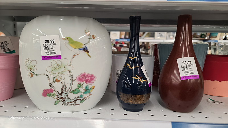 [Image: 20260227-172529.jpg]