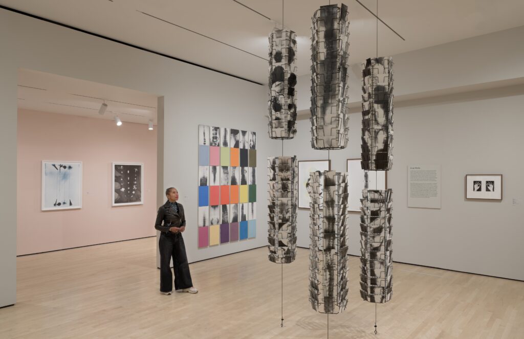 San Francisco museum of modern art