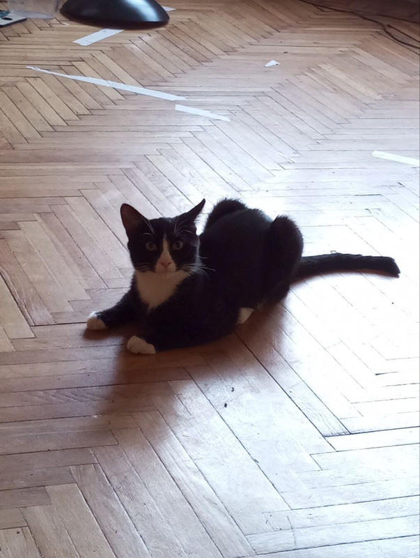 IMG 20260126 111244 102