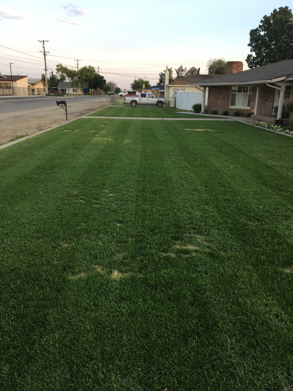 FECD1FDC-D622-4448-AE53-5EE007C949AA