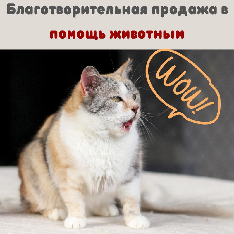 Благотворительная продажа в помощь животным