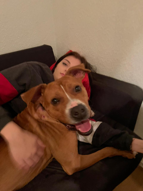 E4EA2CB4-CCE0-4A45-895A-98CEF1AAA5C9