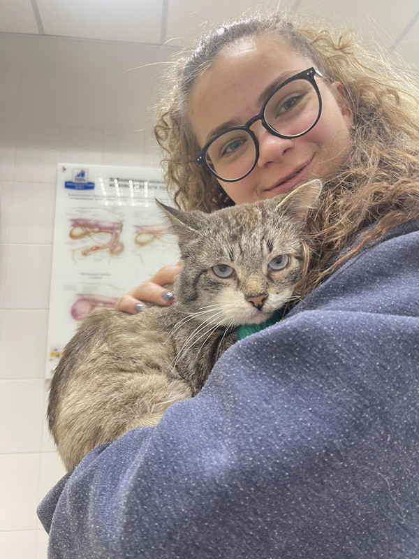 IMG-416f561f96d70b6526648708723d28fb-V