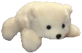 /guro