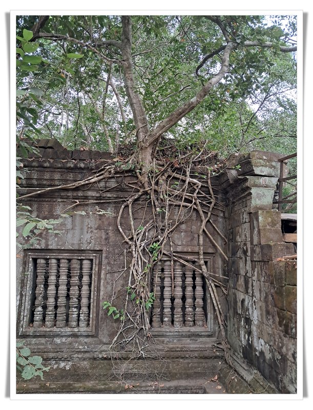 Angkor III. Beng Mealea y traslado a Phnom Penh. - De la bahía de Halong a los templos de Angkor (15)