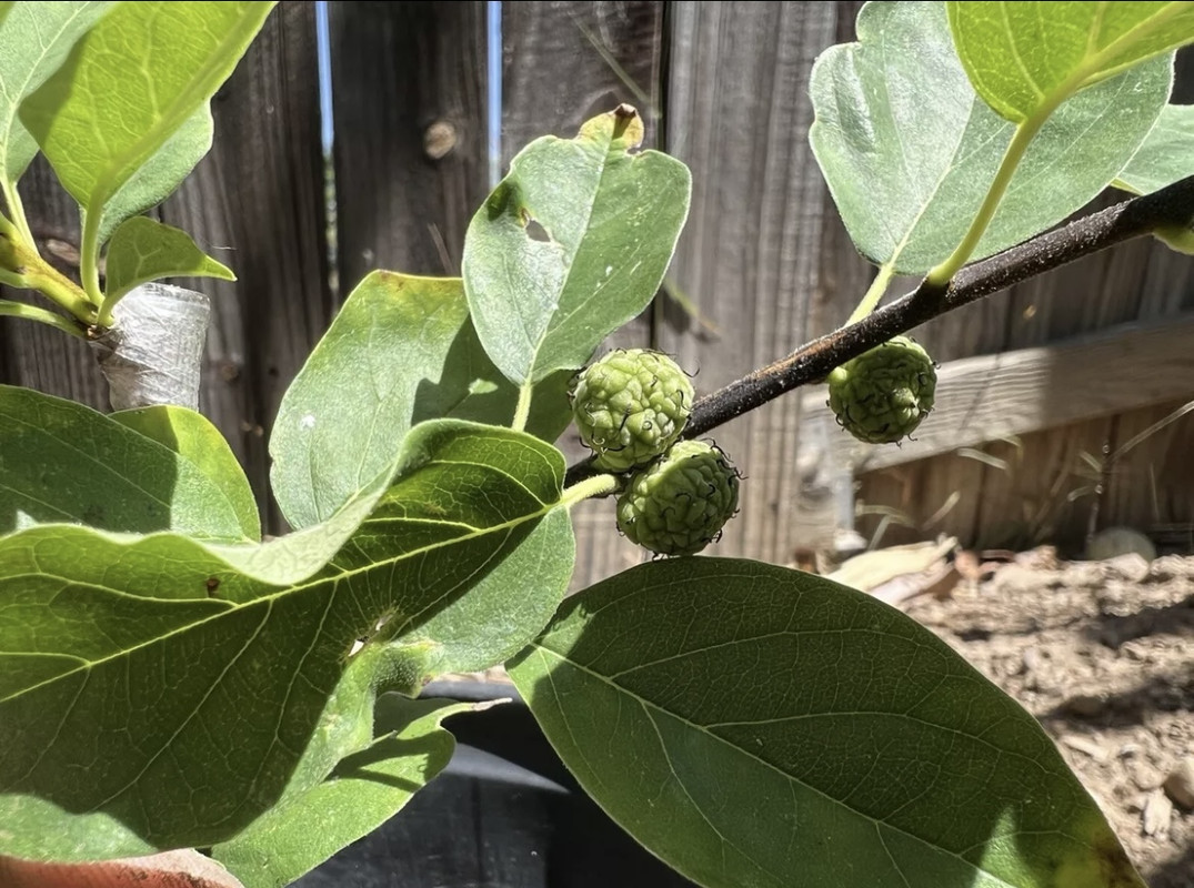 84EF9C47-B01A-479D-84FA-F9C887D2EE08