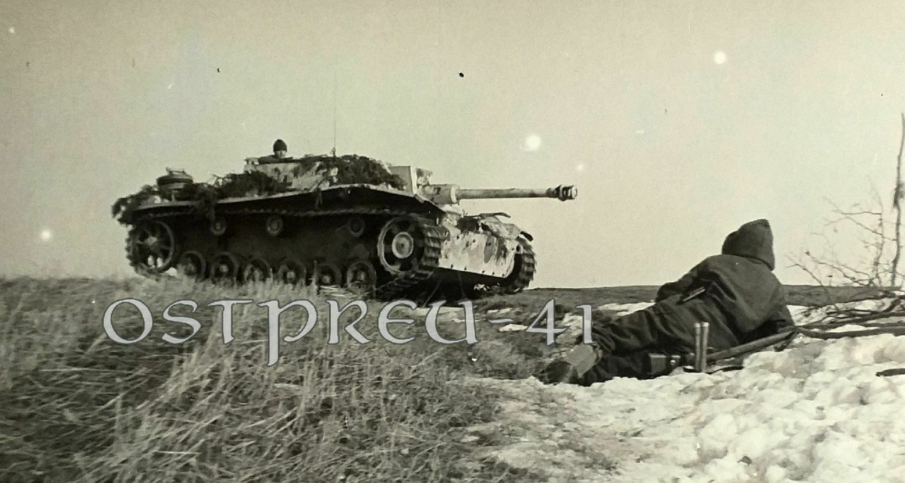 Panzerjäger Abt 193 Panzer Front 2WK Kurland  Sturmgeschütz Tarn