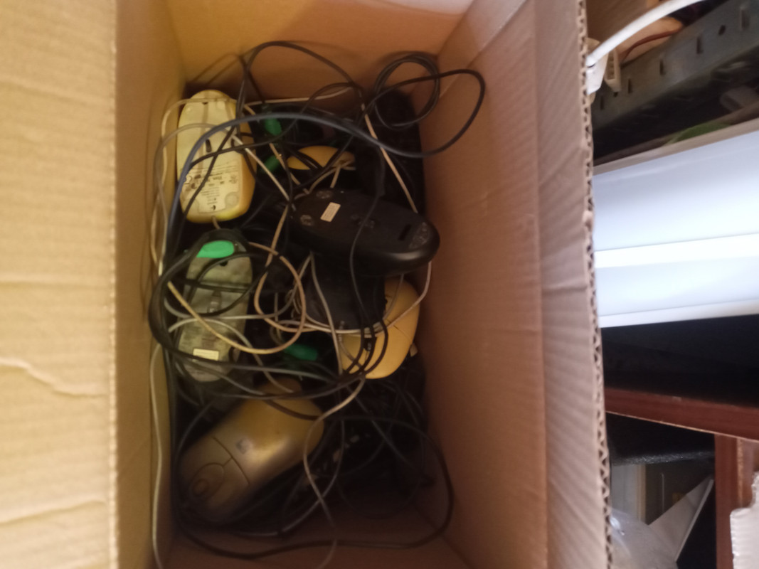 20250819_100720_mfnr