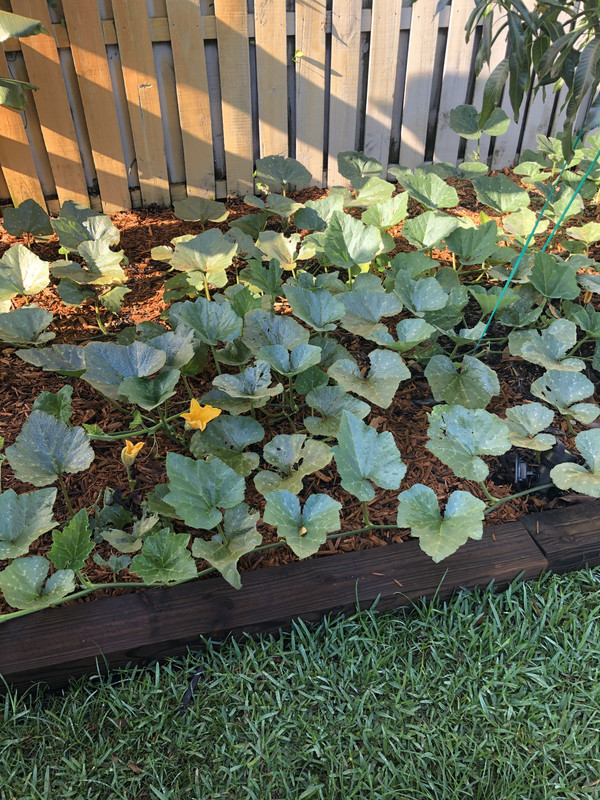 6D0F559E-F97C-4F7A-95E2-FF2CE9A95794