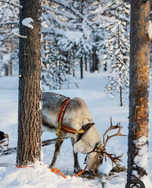 Screenshot_20230831_230854_Pinterest